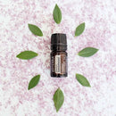 Sandalwood (Hawaiian) Óleo Essencial  Santalum paniculatum (Sândalo-Havaiano)