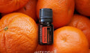 Red Mandarin  Citrus nobilis (Mandarina-vermelha)
