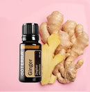 Ginger Óleo Essencial  Zingiber officinale (Gengibre)