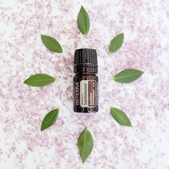 Sandalwood (Hawaiian) Óleo Essencial  Santalum paniculatum (Sândalo-Havaiano)