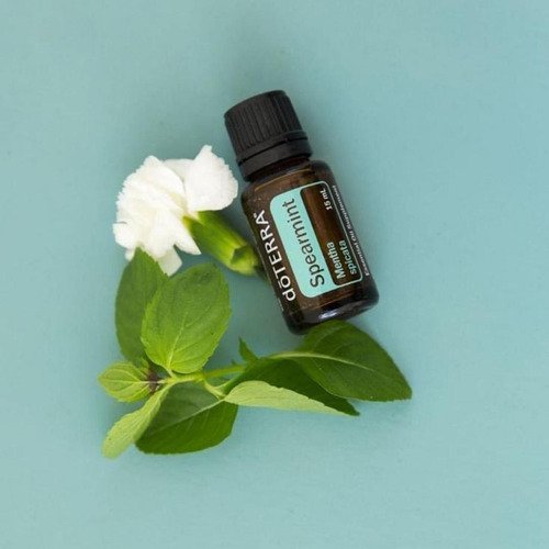 Spearmint Óleo Essencial  Mentha spicata (Hortelã-verde)