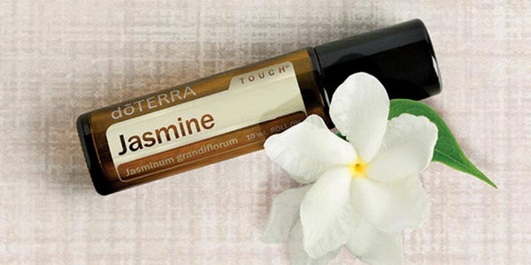 Jasmine Touch  Jasminum grandiflorum