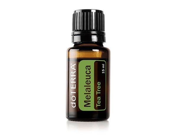 Melaleuca Óleo Essencial 15ml