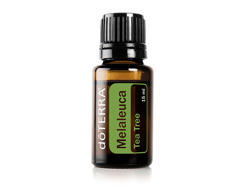 Melaleuca Óleo Essencial 15ml