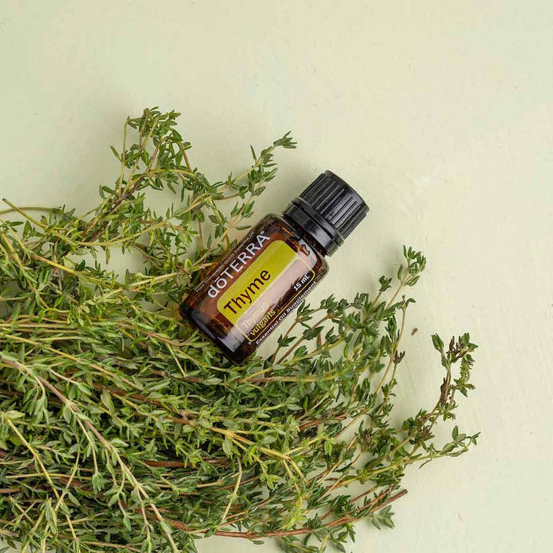 Thyme  Aroma Natural de Tomilho